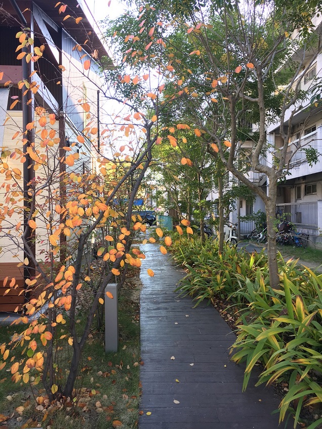 紅葉の季節｜気持ちのいい木の家｜愛知県安城市 暮らしのお店HUCKのお庭