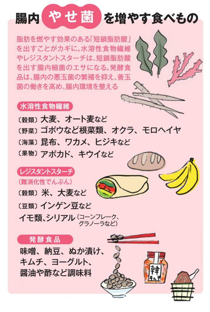 お知らせ｜愛知県安城市 暮らしのお店あいちサラダ麺セット