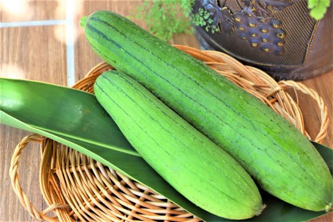 野菜の紹介です【ヘチマ】